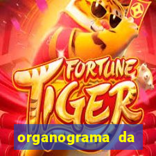 organograma da cacau show